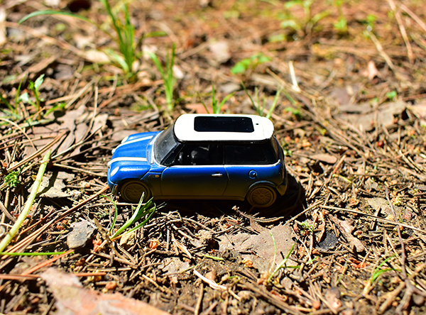 DSC_0076_103800.jpg