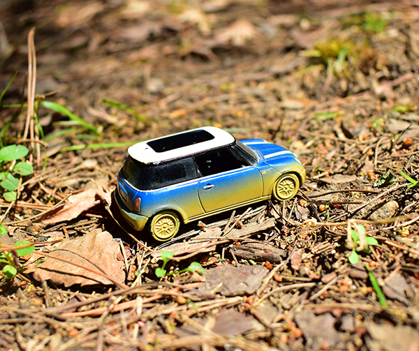 DSC_0079_103802.jpg