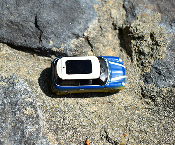 DSC_0081_103759.jpg