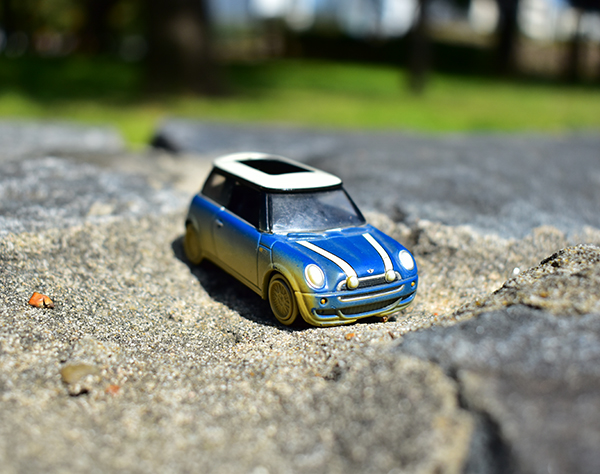 DSC_0082_103757.jpg